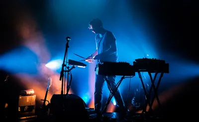 Bonobo