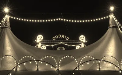 Circus Delman