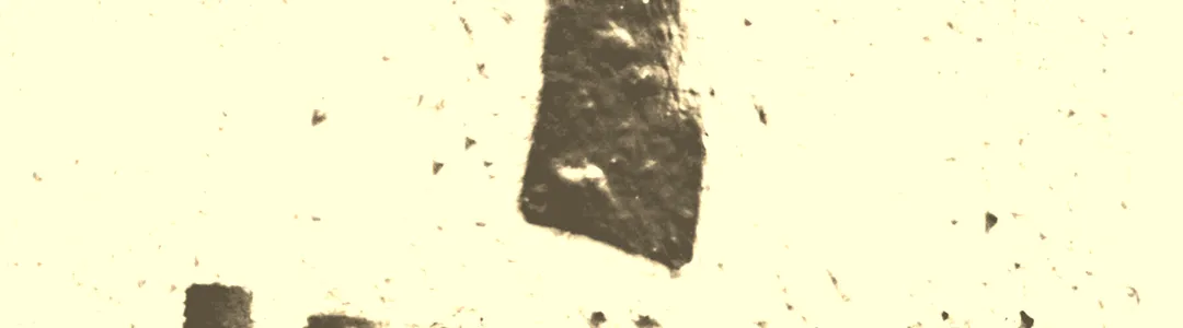 John Cameron Mitchell