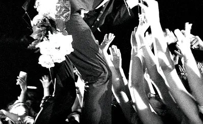 Nick Cave