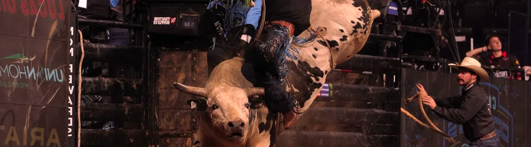 PBR Team Series
