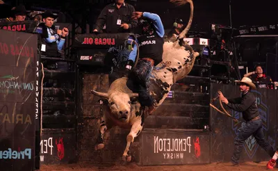 PBR Team Series