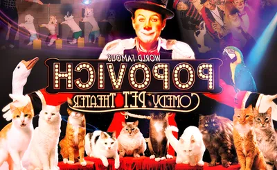 Popovich Comedy Pet Theater