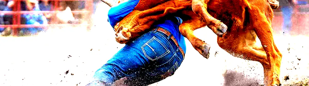 PRCA Rodeo