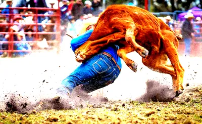 PRCA Rodeo