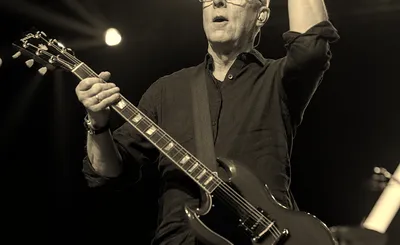 Toadies