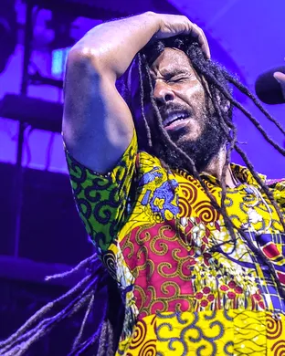 Ziggy Marley
