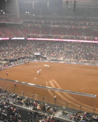 Guadalupe County Fair and PRCA Rodeo Seguin