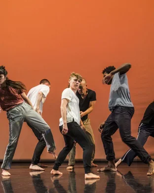Collective Dance Artistry